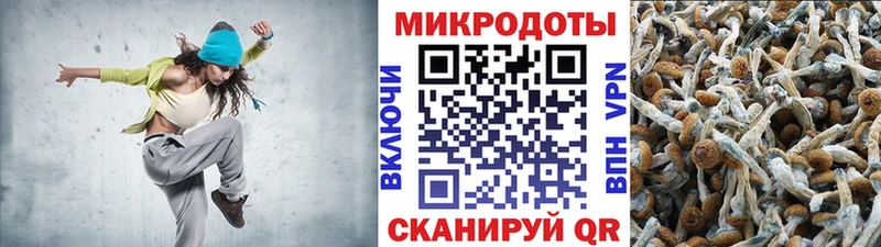Псилоцибиновые грибы Psilocybe  Якутск 